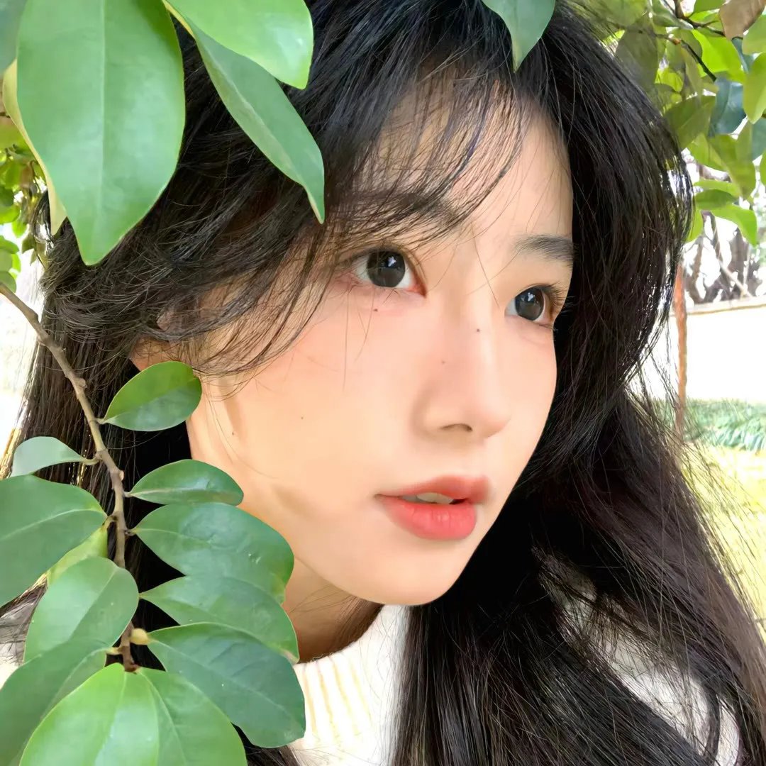 厌世三寡妇
